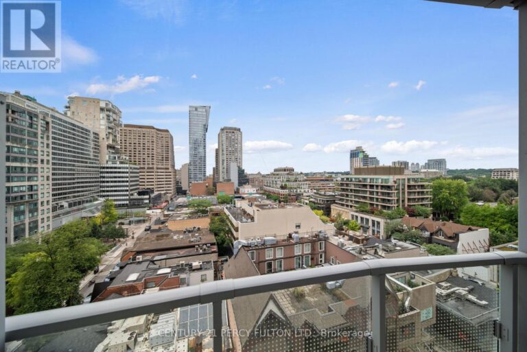 c12351134 24 768x513