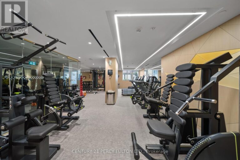 c12351134 33 768x513