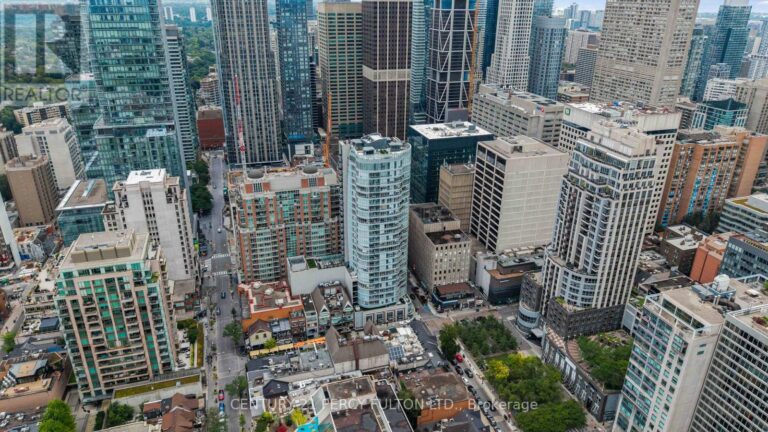 c12351134 39 768x432