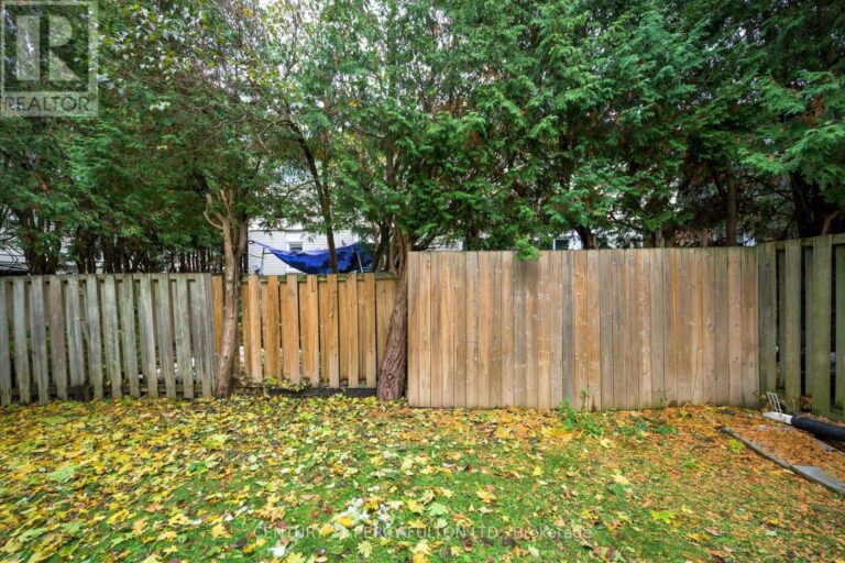 c12580668 36 768x512