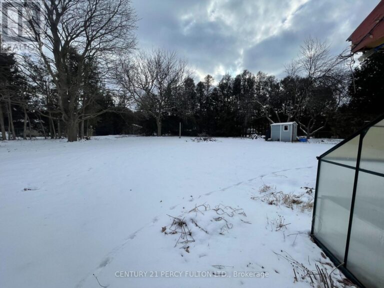 w12787732 41 768x576