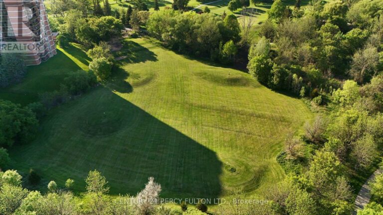 w12854816 31 768x432