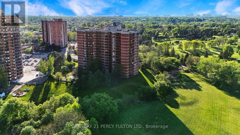 w12854816 32 768x432